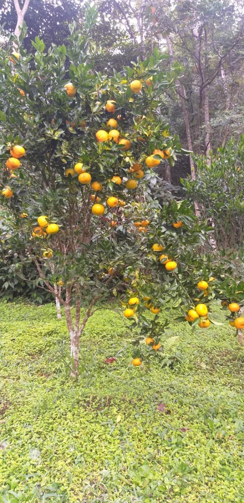 Fazenda Piloes Villa Petrópolis Dış mekan fotoğraf